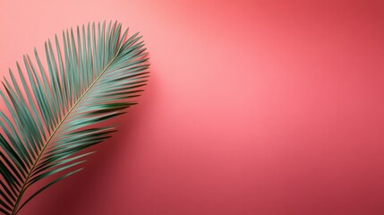 Fototapeta premium Palm leaf on red background, a tropical theme.