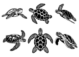 Set of vector illustration of monochrome sea turtles on white background