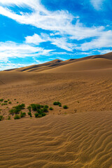 Wüstenlandschaft im Great Sand Dunes Nationalpark