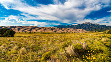 Naklejka premium Wüstenlandschaft im Great Sand Dunes Nationalpark