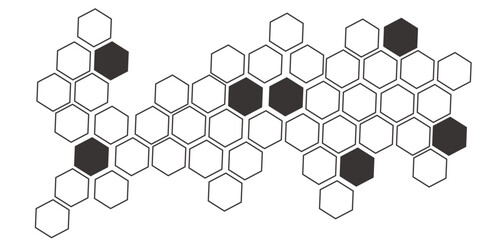 black hexagon white background wall pattern.