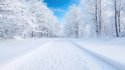 Snowy forest pathway under a bright sky; winter wonderland scene; great for screensaver or greeting card use