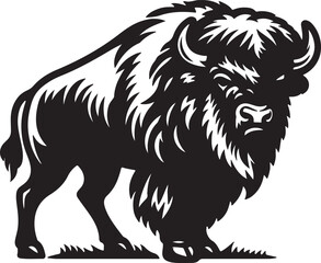 vector illustration of a Buffalow
