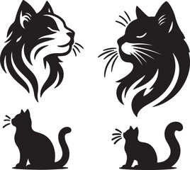 black and white cats