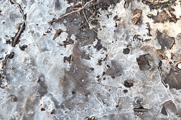 broken ice on the ground close up