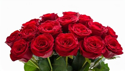 Obraz premium bouquet of red roses of isolated cutout object on white background