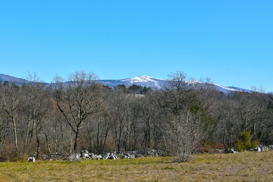View of Slavnik mountain with a leafless deciduous forest and a meadow bellow at Kras in Istria, Primorska, Slovenia