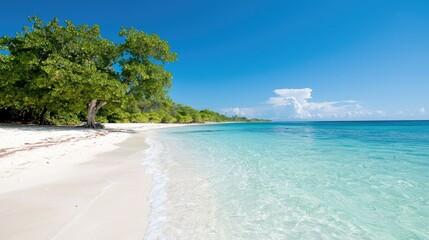 Tropical Beach Landscape; Tranquil Shoreline; Sunny Day; Pristine Waters; Vacation Destination; Beautiful Scenery; Perfect Holiday