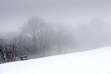 Empty bench in snow against forest in fog