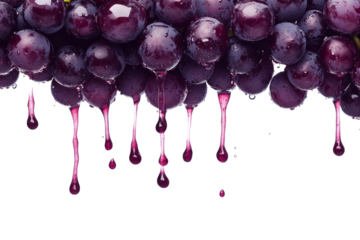 Close up of fresh purple grapes with droplets and dripping juice or jam isolated on transparent background