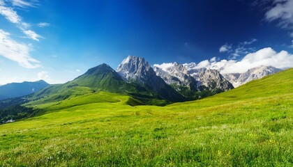 Fototapeta premium vibrant landscape with green grass majestic mountains and a bright blue sky filled with soft clouds