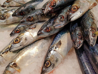 Fish used food ingredient, frozen mackerel on a shelf in a supermarket, Saba fishery product.