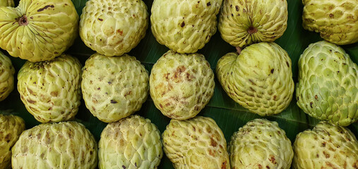 Obraz premium Top view of custard apple, a tropical fruit, arranged on banana leaves ready for delivery or sale in the market.