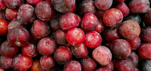 Red cherry plum close up group sale in fruit market. 
