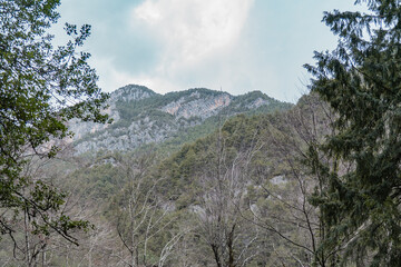 Nature on the mountain olympus in Greece.
