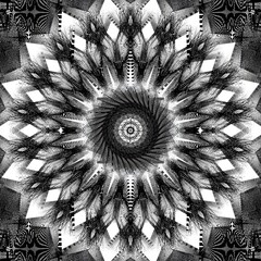 black and white fractal background