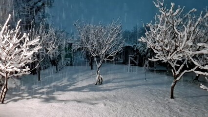 Tree branches in the night garden are covered with snow