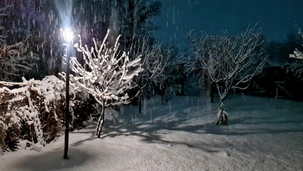 Tree branches in the night garden are covered with snow