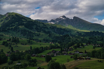 Obraz premium Grindelwald is a village in the Bernese Alps of Switzerland, it is known for being the gateway to Jungfrau. Landscape, valley wildflowers and colorful meadows in spring, spectacular Switzerland Alps.