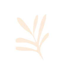 pastel boho bold Flower in modern minimal style