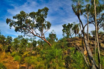 Rocky outback landscape with tropical savannah vegetation in Katherine Gorge (Nitmiluk) National Park, Northern Territory Australia
