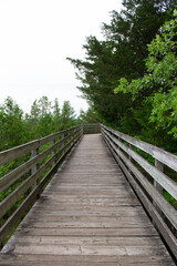 Wooden stairs in the park.