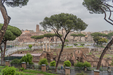 Fototapeta premium The city of Rome in Italy.