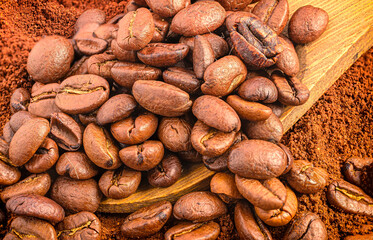 Roasted coffee beans on wooden scoop and ground coffee