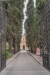 Trees that lead up to a church.