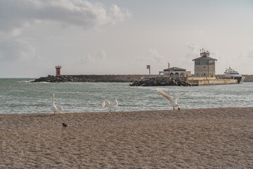The beach and city of Ostia in Italy.