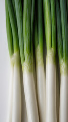 Obraz premium Green new onions from the greenhouse Neatly arranged thin green onions creating a vibrant border of white and green against a pure background
