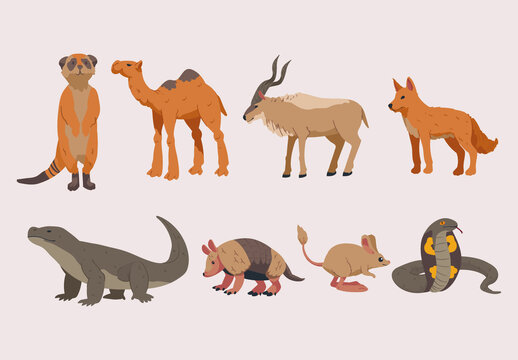 Colorful Desert Wildlife Animal Illustration Set