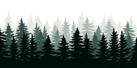 Fototapeta premium Dense evergreen forest landscape in soft light