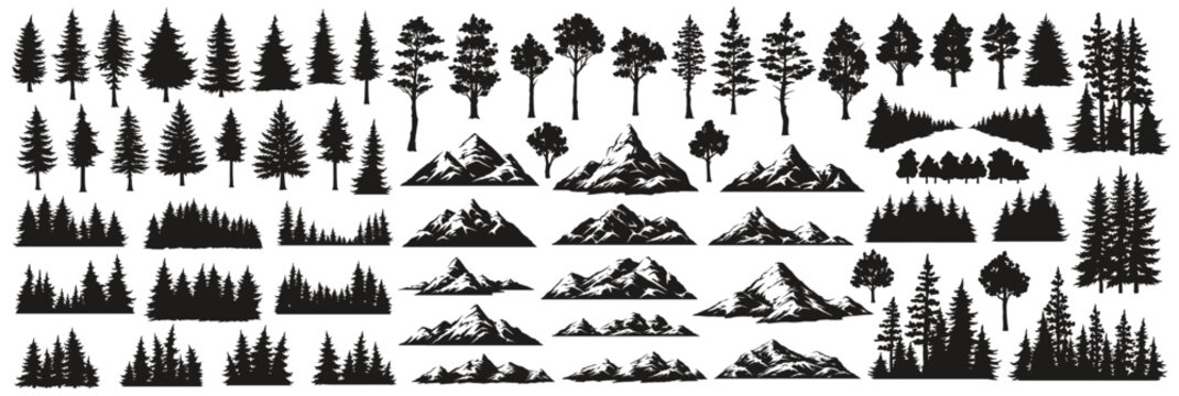 Silhouettes of trees and mountains
