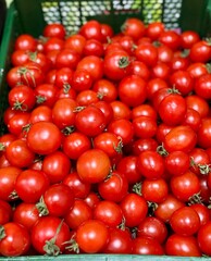 A vibrant display of ripe cherry tomatoes stacked neatly in a green basket at a bustling local market. Close-up
