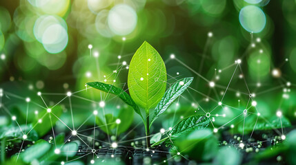 The future of biomass energy: a high-tech concept integrating AI-driven efficiency and sustainable biofuel advancements.