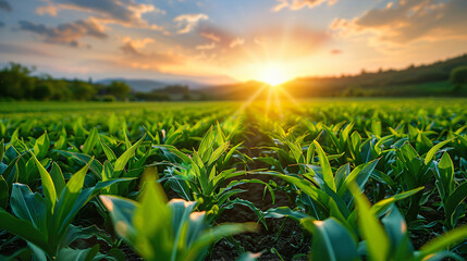 The future of biomass energy: a high-tech concept integrating AI-driven efficiency and sustainable biofuel advancements.