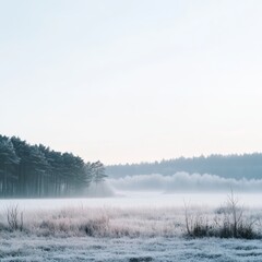 Frosty morning landscape serene forest nature photography tranquil environment wide angle view peaceful concept