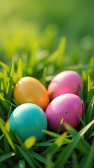 easter eggs colorful grass high angle