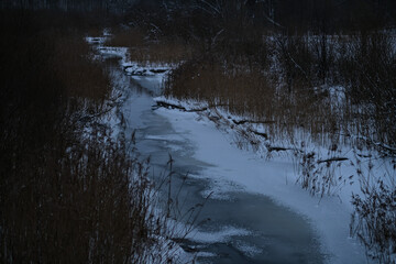 Obraz premium partially ice covered small forest river in evening. Sesava river, Latvia in wintertime