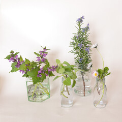 mix of green herbs, decorated in glasses, isolated on white