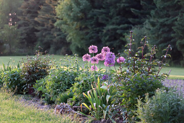 Obraz premium Flower Garden