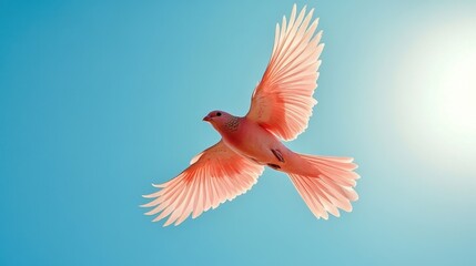 Fototapeta premium A pink bird soaring gracefully against a bright blue sky in the afternoon light