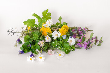 mix of colorful spring healing herbs, isolated