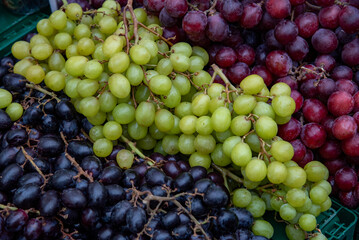 Fresh green, red and black grapes forming a colorful display at market stall
