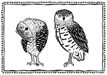 Owls linocut set. Animal life. Birds of prey. Illustration in vintage woodcut style, boho. Vector illustration.eps