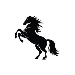 Horse silhouette With A White Background