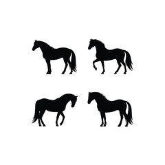 Horse  Set silhouette 
