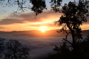 beautiful and colorful sunrise in the springtime