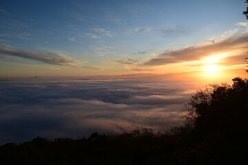 beautiful and colorful sunrise in the springtime